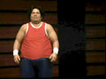 Big Tony Wrestling Vintage Retro Advert Poster A4 Photo Print