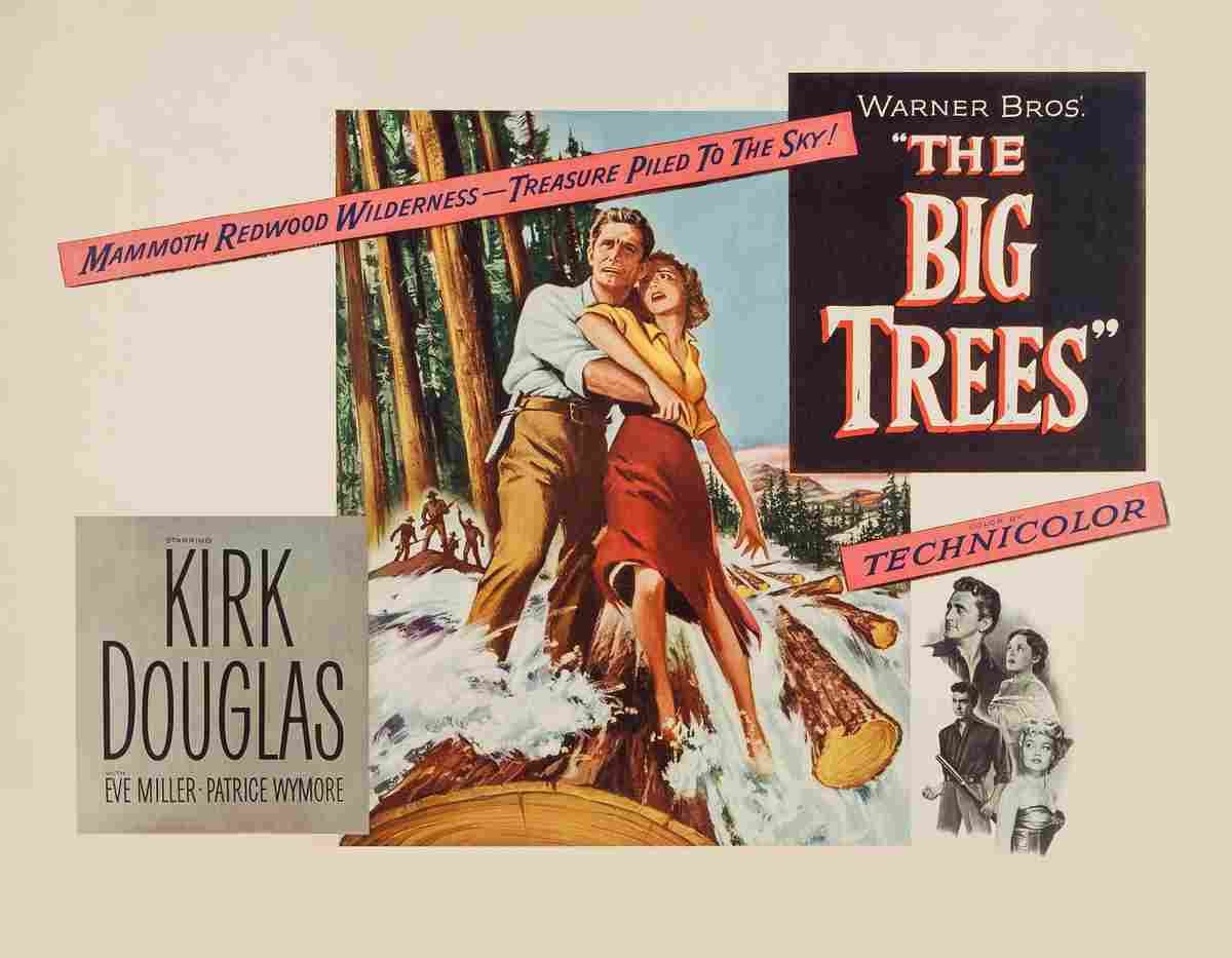 Big Trees The 02  film star poster A4 Photo Print