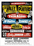 Bill Haley Platters Rock N Roll Concert Poster 1950s Vintage Retro Advert Poste