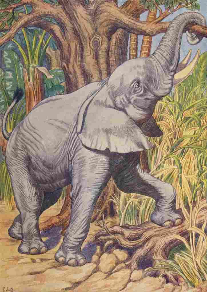 Billinghurst Percy Beasts Shown to the Children nd African Elephant A4 Photo Print