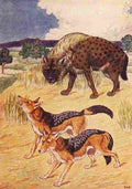 Billinghurst Percy Beasts Shown to the Children nd Hyena & Jackal A4 Photo Print