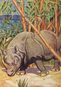Billinghurst Percy Beasts Shown to the Children nd Rhinocerous A4 Photo Print