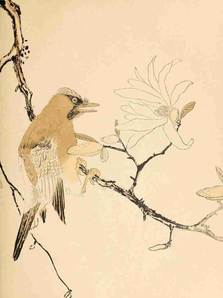 Bird Artistic Japan 1891 A4 Photo Print