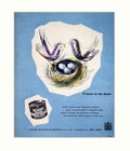 Bird Nest Paint Vintage Retro Advert Poster A4 Photo Print