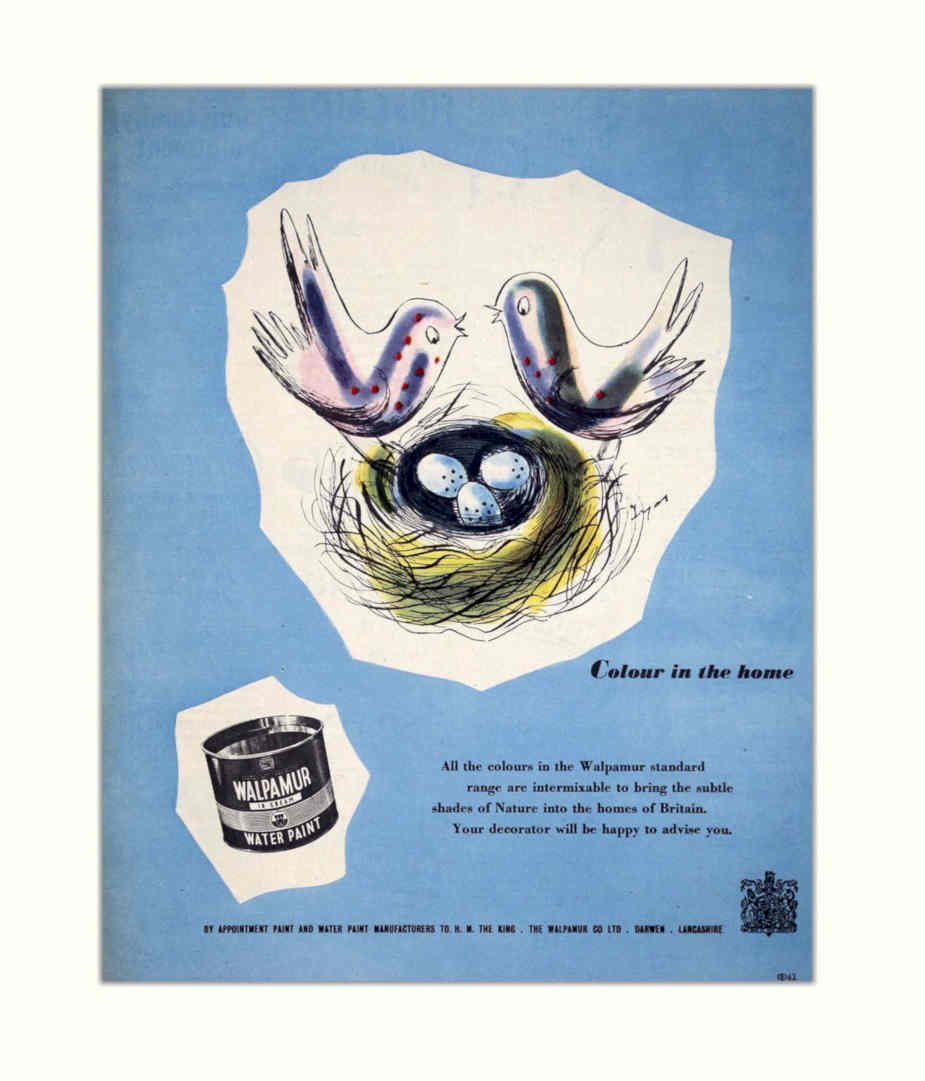 Bird Nest Paint Vintage Retro Advert Poster A4 Photo Print
