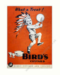 Bird S Custard 2 Vintage Retro Advert Poster A4 Photo Print