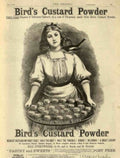 Bird S Custard Vintage Retro Advert Poster A4 Photo Print