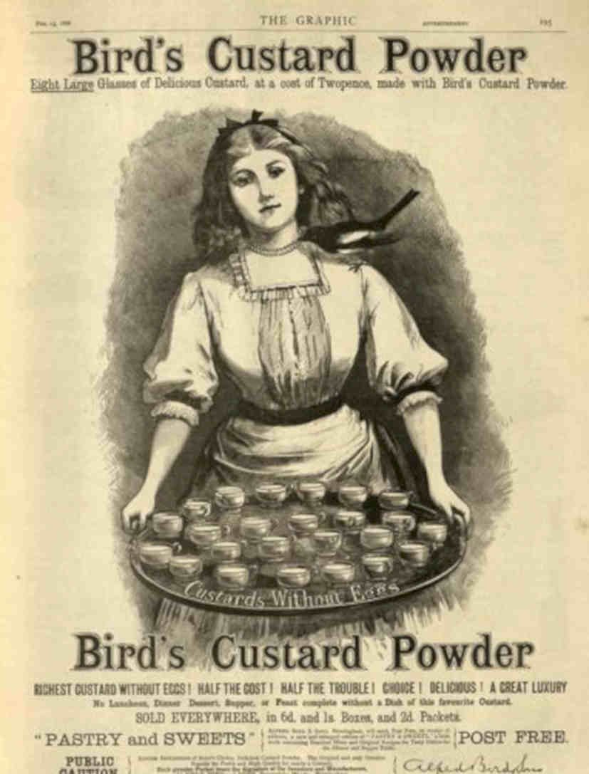 Bird S Custard Vintage Retro Advert Poster A4 Photo Print