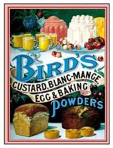 Birds 181 Vintage Advert A4 Photo Print