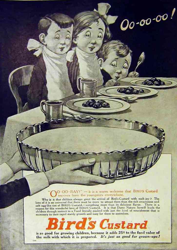 Birds Children Sketch 1910S advert A4 Photo Print