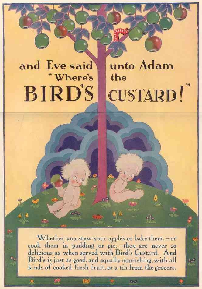 Birds Custard 563 Vintage Advert A4 Photo Print