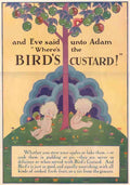 Birds Custard 563 advert A4 Photo Print