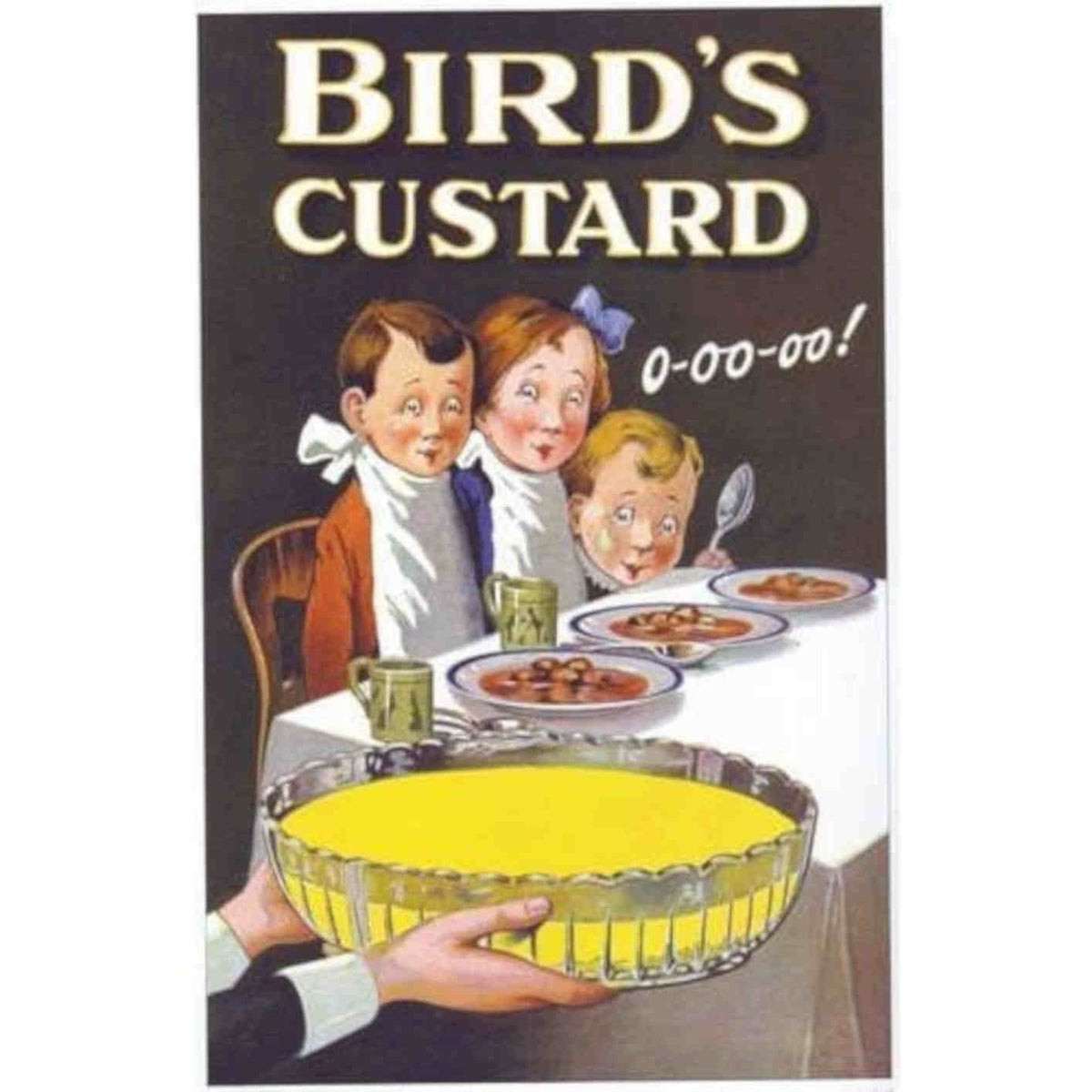 Birds Custard Advertisement Vintage Retro Advert Poster A4 Photo Print