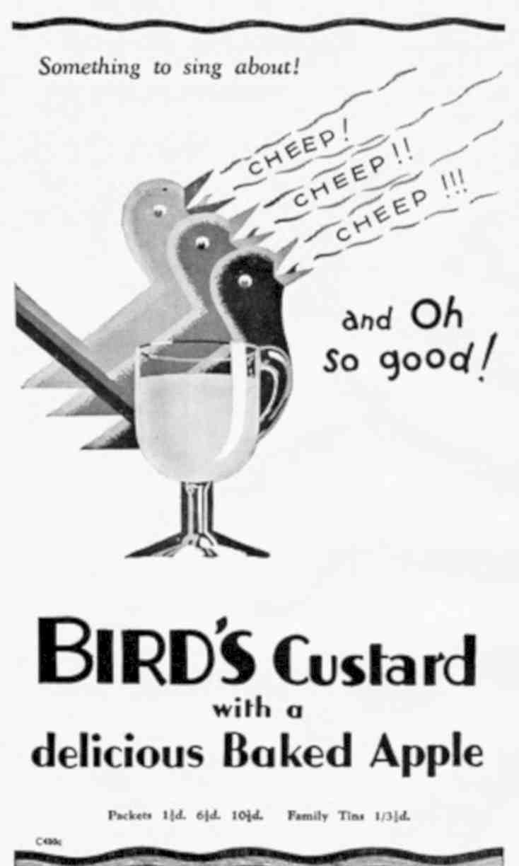 Birds Custard Apple Vintage Retro Advert Poster A4 Photo Print
