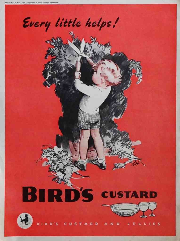 Birds Custard Boy 1950S advert A4 Photo Print