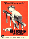 Birds Custard Boy On Banister 1950S advert A4 Photo Print