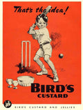 Birds Custard Boy Playing Cricket 1950S Vintage Advert A4 Photo Print
