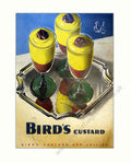 Birds Custard Dessert Vintage Retro Advert Poster A4 Photo Print