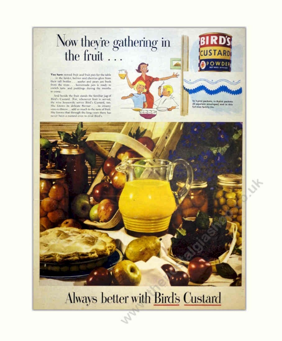 Birds Custard Fruit 1 Vintage Retro Advert Poster A4 Photo Print