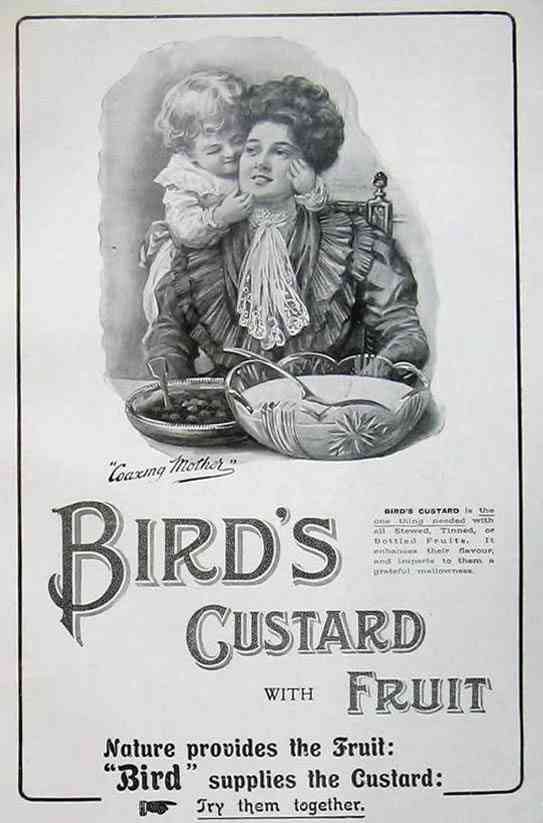 Birds Custard Fruit Mother Little Boy Vintage Advert A4 Photo Print