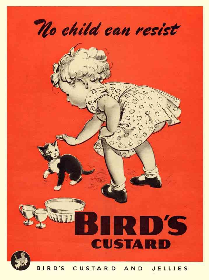 Birds Custard Girl Stroking Kitten 1950S Vintage Advert A4 Photo Print