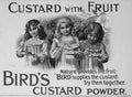 Birds Custard Kids Vintage Advert A4 Photo Print