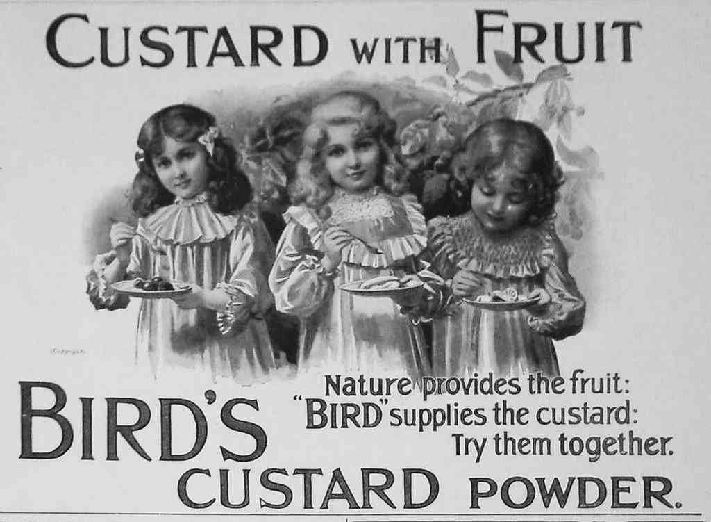 Birds Custard Kids Vintage Advert A4 Photo Print
