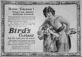 Birds Custard Now Guess Vintage Advert A4 Photo Print