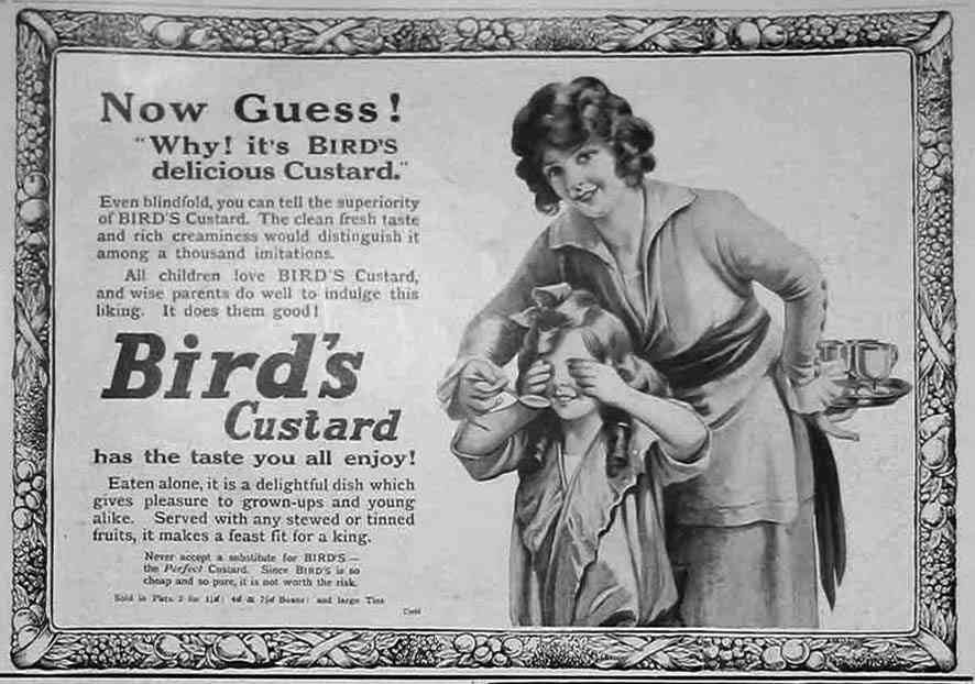 Birds Custard Now Guess advert A4 Photo Print