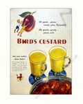 Birds Custard Plums Vintage Retro Advert Poster A4 Photo Print