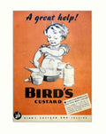 Birds Custard Poster 3 Vintage Retro Advert Poster A4 Photo Print