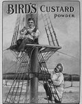 Birds Custard Powder 1900S Cook Sailor advert A4 Photo Print