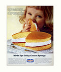 Birds Eye Sponge Vintage Retro Advert Poster A4 Photo Print