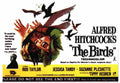 Birds The 02  film star poster A4 Photo Print