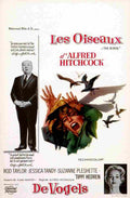 Birds The 06  film star poster A4 Photo Print