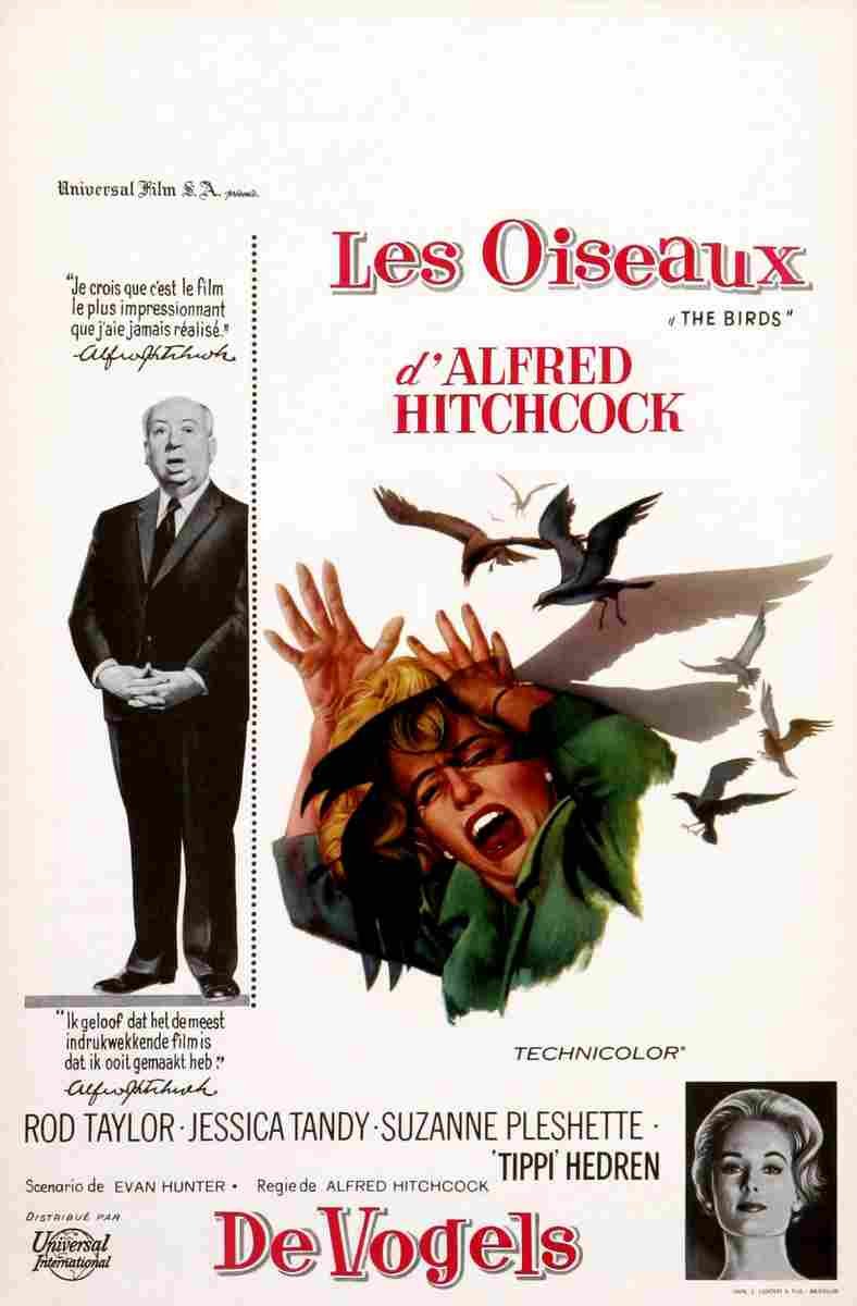Birds The 06  film star poster A4 Photo Print
