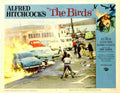 Birds The 10  film star poster A4 Photo Print