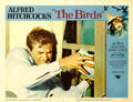 Birds The 11  film star poster A4 Photo Print
