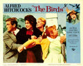 Birds The 14  film star poster A4 Photo Print