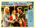 Birds The 16  film star poster A4 Photo Print