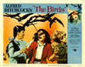 Birds The 17  film star poster A4 Photo Print