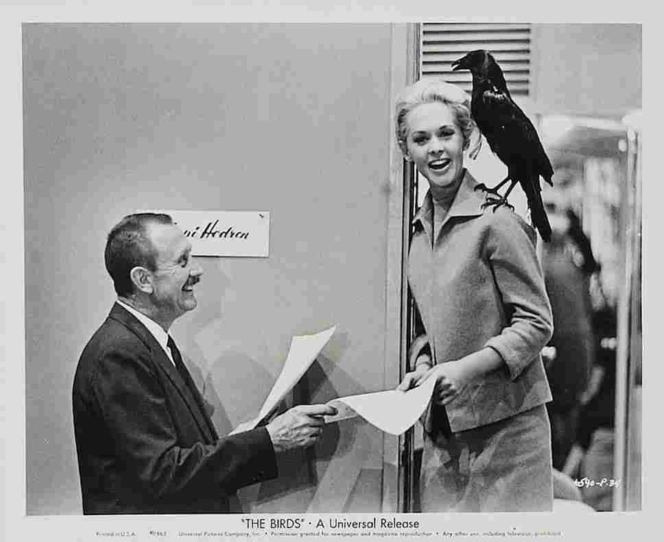 Birds The 20  film star poster A4 Photo Print