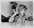 Birds The 21  film star poster A4 Photo Print