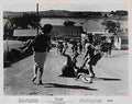 Birds The 22  film star poster A4 Photo Print