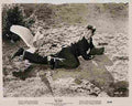 Birds The 23  film star poster A4 Photo Print