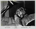 Birds The 24  film star poster A4 Photo Print