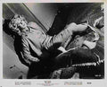 Birds The 25  film star poster A4 Photo Print