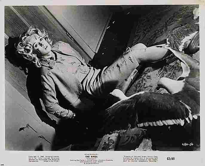 Birds The 25  film star poster A4 Photo Print