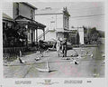 Birds The 28  film star poster A4 Photo Print