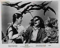 Birds The 29  film star poster A4 Photo Print